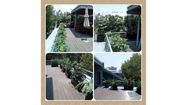 MG Diseño y Construcción S.A de C.V. Empresa Constructora Diseño y Construcción Mantenimiento y Roof Garden Departamento Ciudad de México